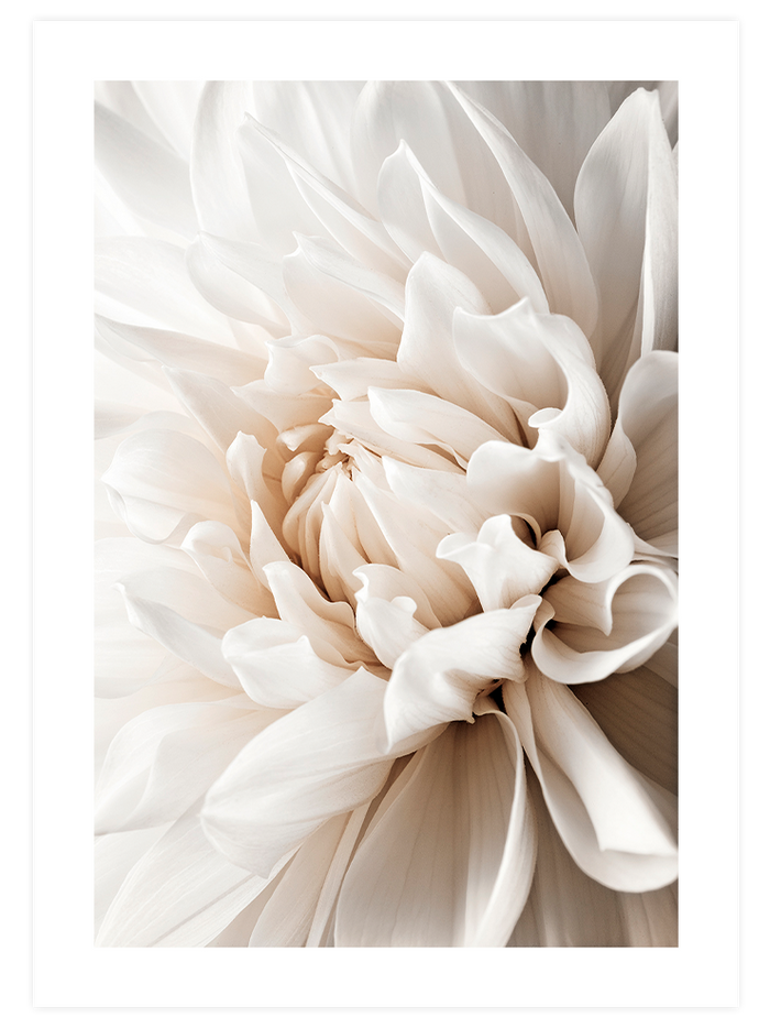 Touch of Charm - Poster Seti Trio  Poster