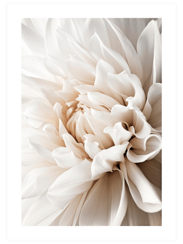 Beige Touch Poster Seti