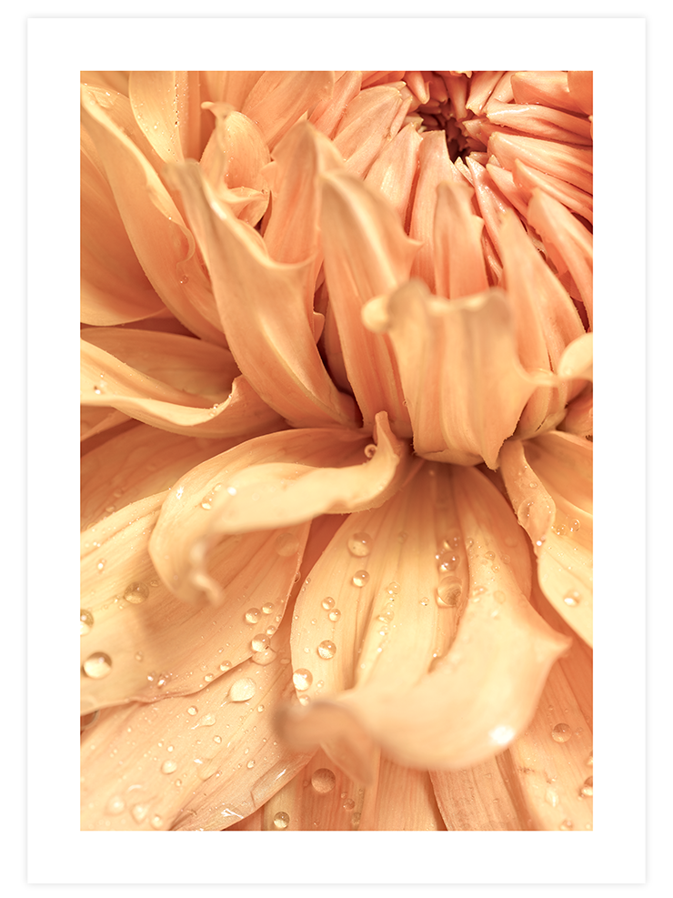 Clair Obscur - Poster Seti Trio