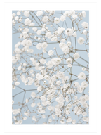 Blue Elegance Poster Seti