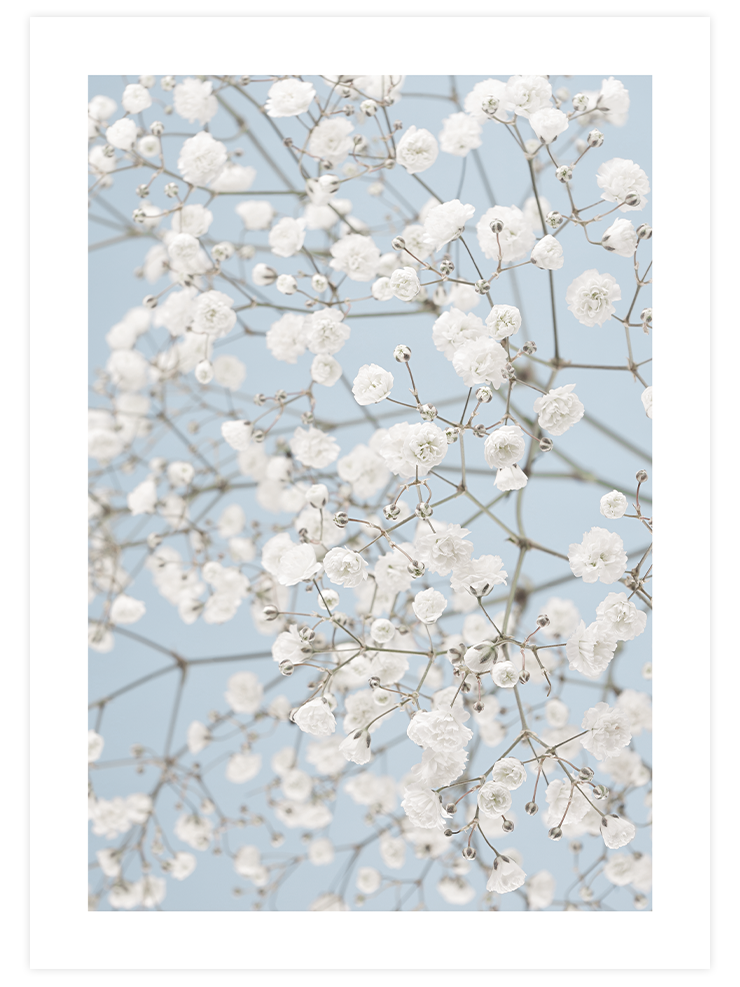 Blue Elegance Poster Seti