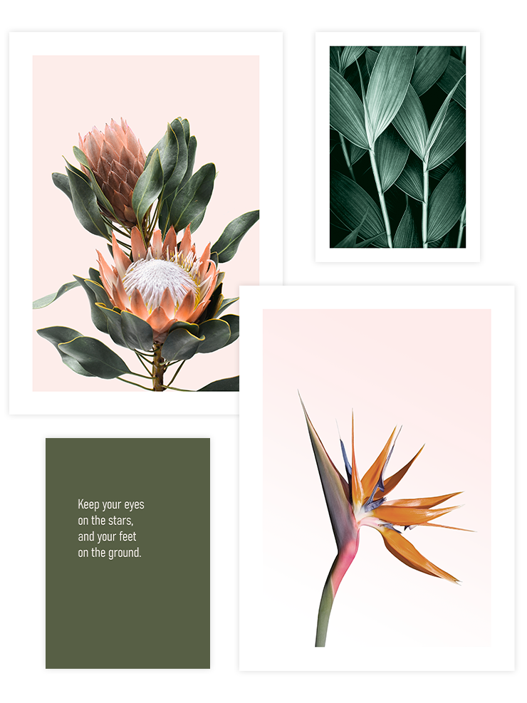 Flower Touch Poster Seti Ürün ana görseli