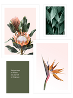 Flower Touch Poster Seti