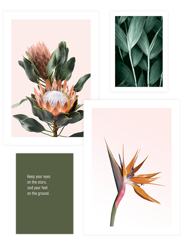 Flower Touch Poster Seti