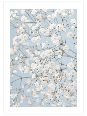 Blue Elegance Poster Seti