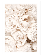 Mindfulness Poster Seti