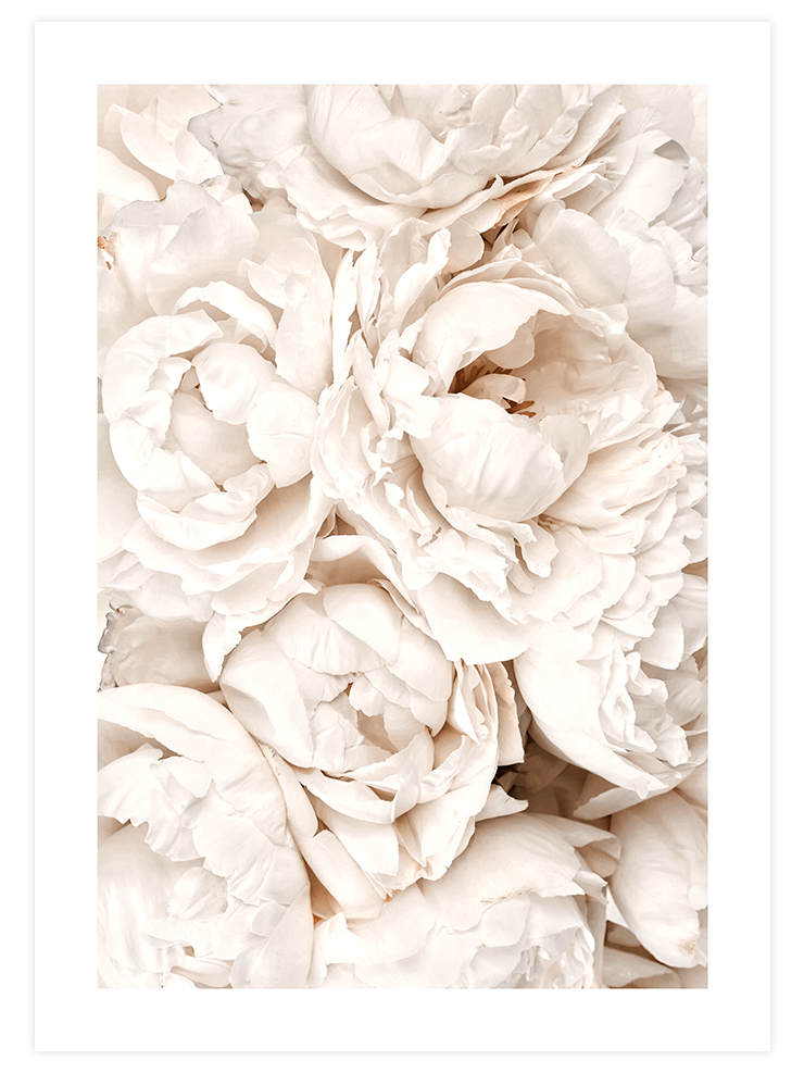 Mindfulness Poster Seti