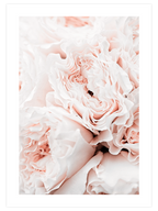 Pink Touch Poster Seti