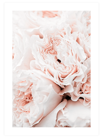 Pink Touch Poster Seti
