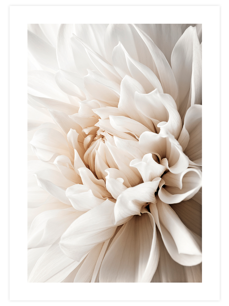 Free & Simple Life Poster Seti  Poster