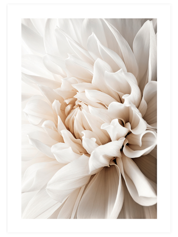 Free & Simple Life Poster Seti