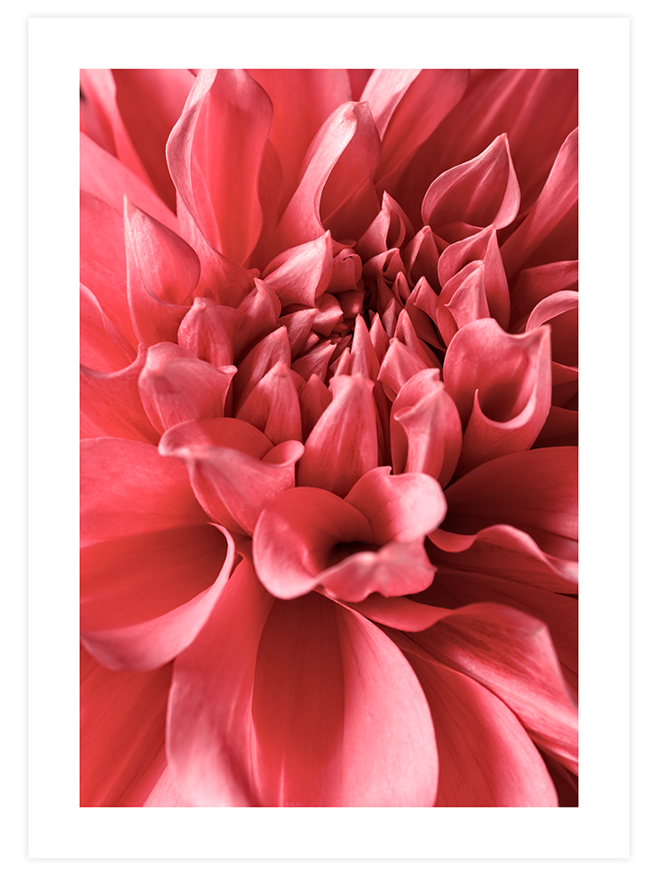 Color Power Poster Seti  Poster