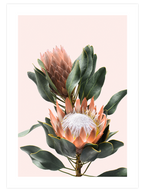 Exotic Touch Poster Seti