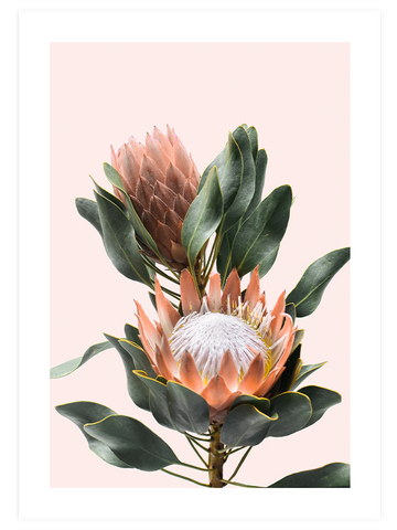 Exotic Touch Poster Seti