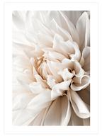 Art in Flower - Art Print