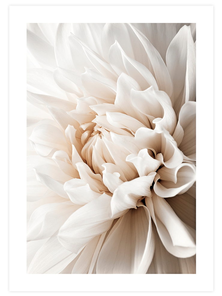 Art in Flower - Art Print