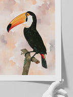 Tukan - Art Print