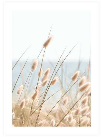 Fresh & Beautiful - Poster Seti Trio
