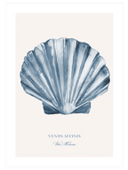 Dinginlik Poster Seti