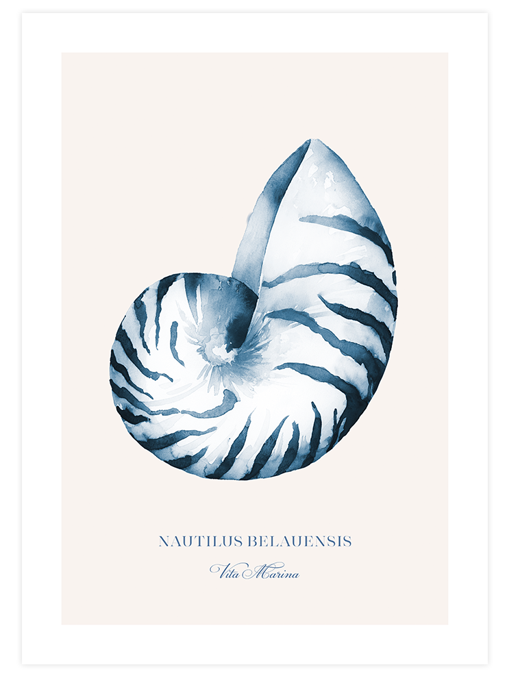 Dinginlik Poster Seti