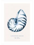 Blue Touch Poster Seti