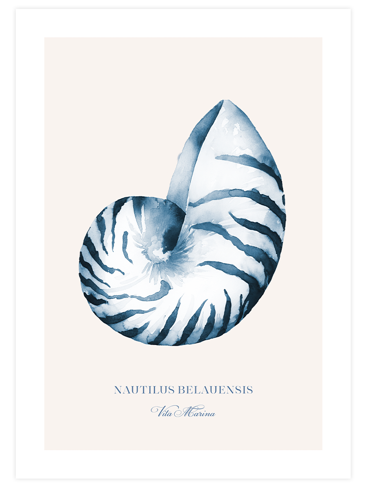 Blue Touch Poster Seti