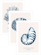 Vita Marina - Poster Seti Trio