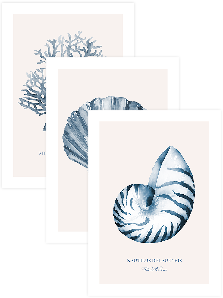 Vita Marina - Poster Seti Trio