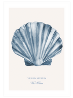 Vita Marina - Poster Seti Trio