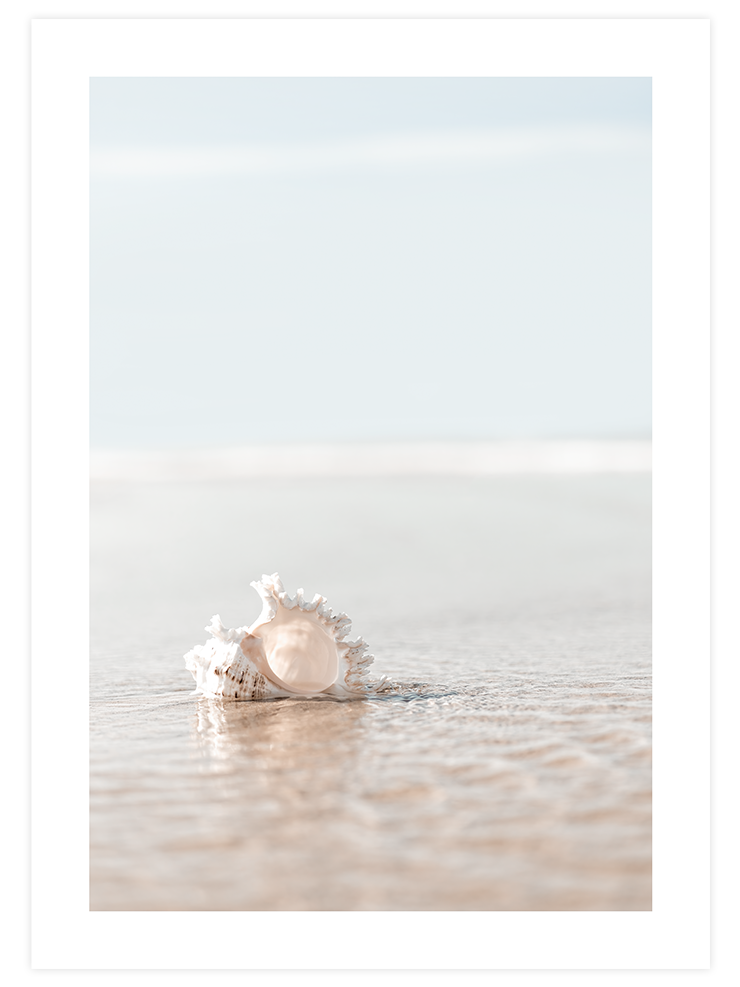 Soft Life Poster Seti