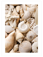 Mindful Life Poster Seti