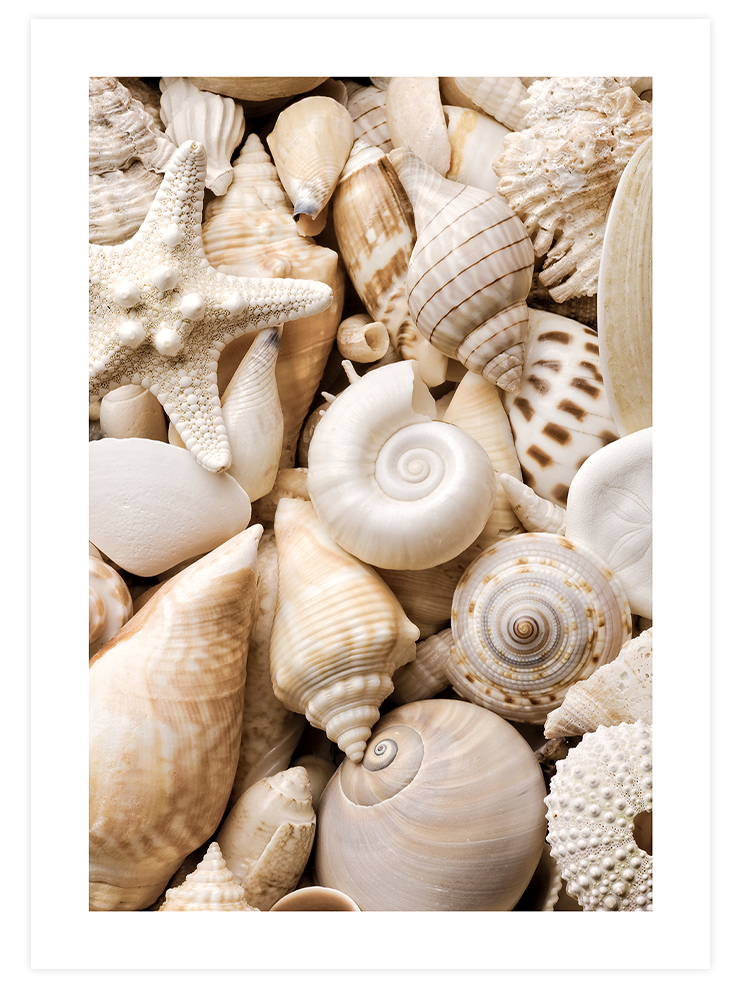 Mindful Life Poster Seti