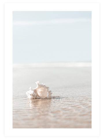Serene & Simple Life Poster Seti