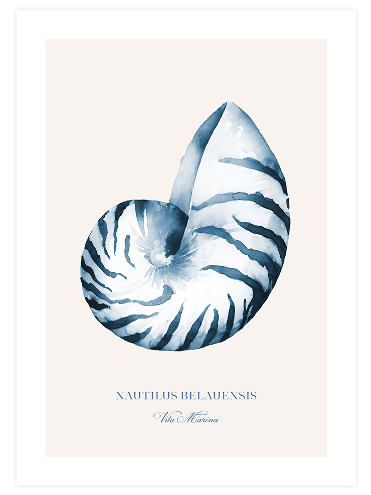 Vita Marina - Poster Seti Trio