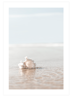 Chill Out - Poster Seti Trio