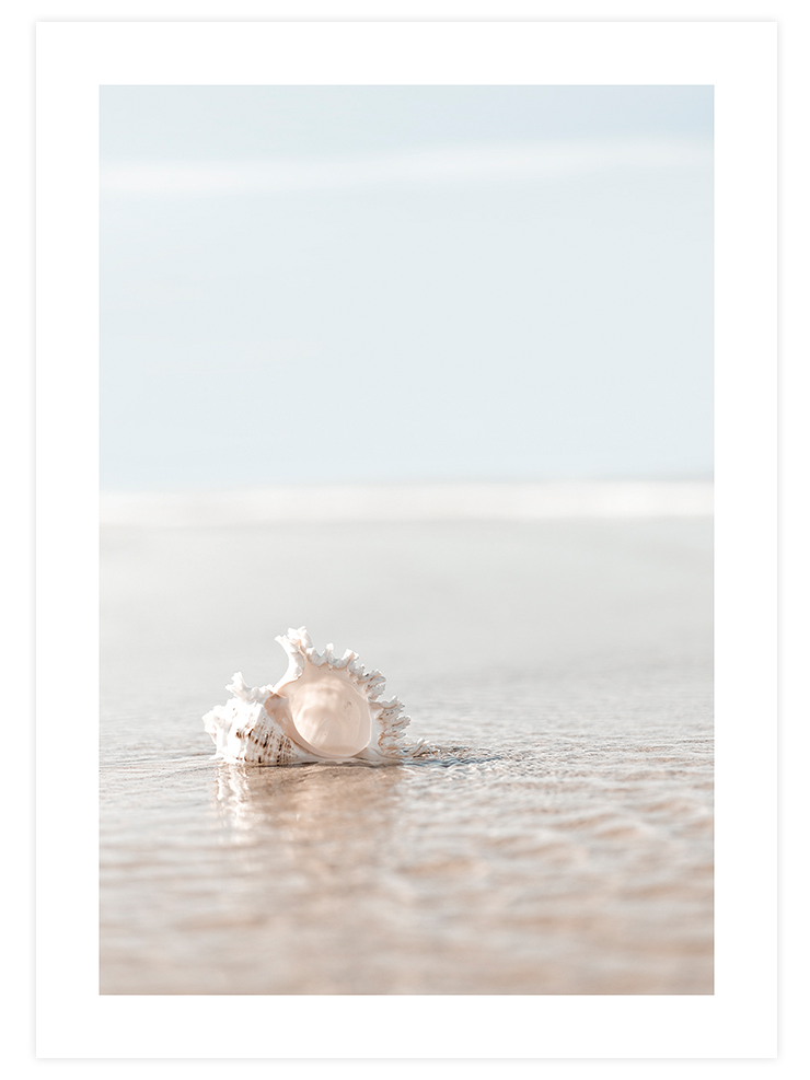 Chill Out - Poster Seti Trio