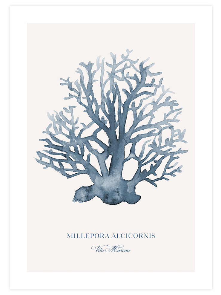 Vita Marina - Poster Seti Trio