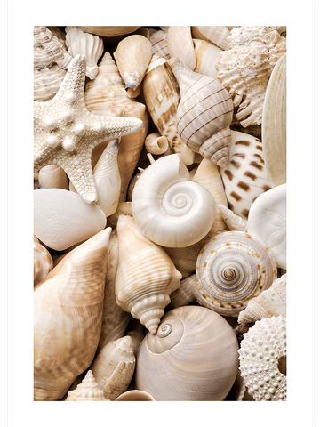 Great & Simple Life Poster Seti