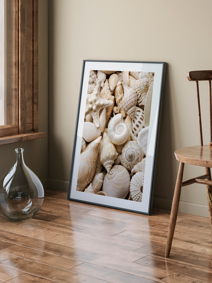 Deniz Kabukları - Art Print