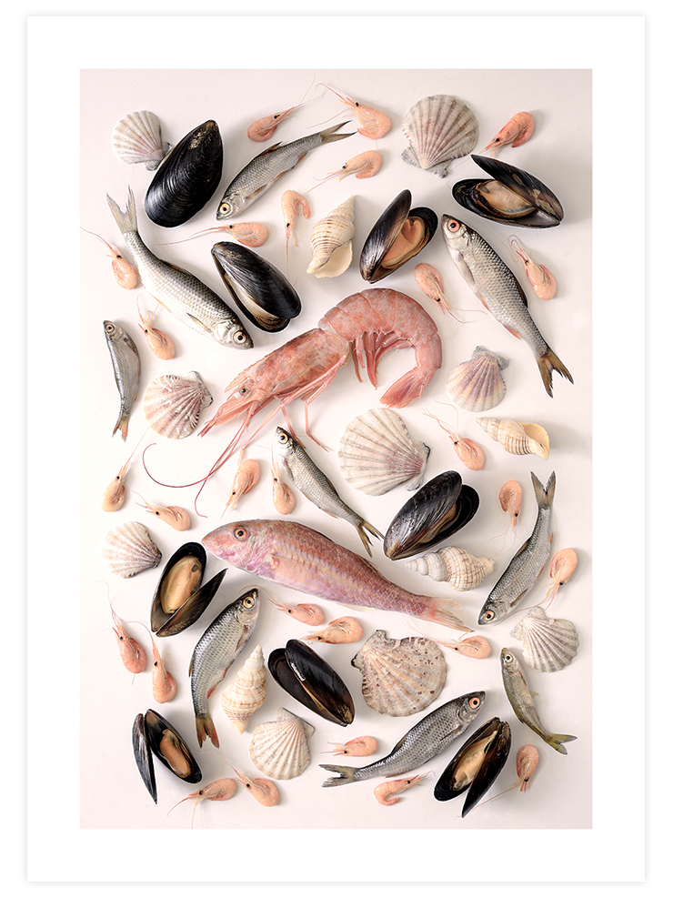 Seafood - Art Print Fotoğraflar Poster
