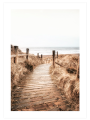 Camino - Fine Art Poster