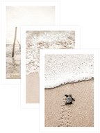 Natural Beige - Poster Seti Trio