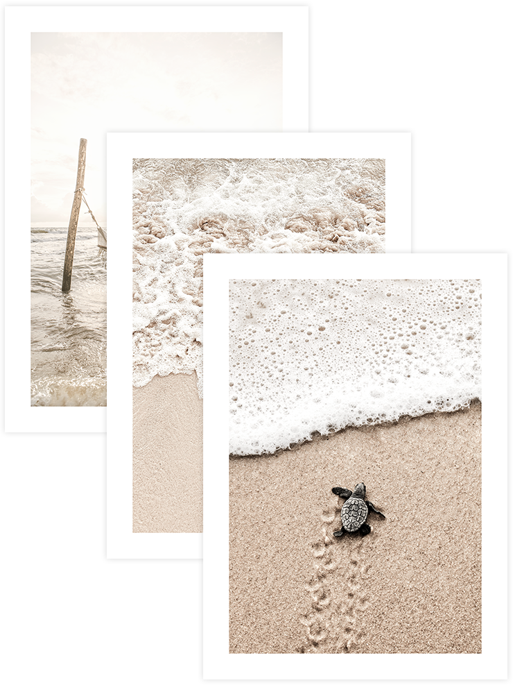 Natural Beige - Poster Seti Trio Fotoğraflar Poster
