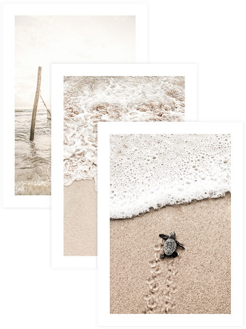 Natural Beige - Poster Seti Trio