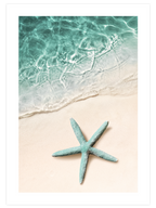 Yeşil Deniz Yıldızı - Art Print