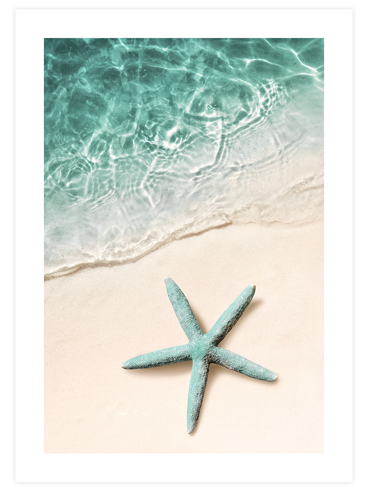 Yeşil Deniz Yıldızı - Art Print Fotoğraflar Poster