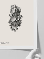 Deniz Kabuğu N2 - Art Print