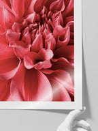 Flower Power - Art Print