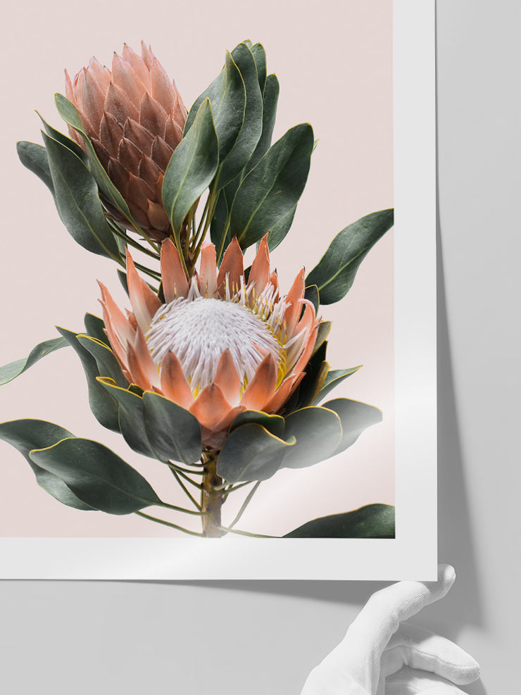 Egzotik Çiçek - Art Print