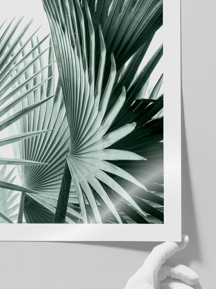 Estetizm - Art Print